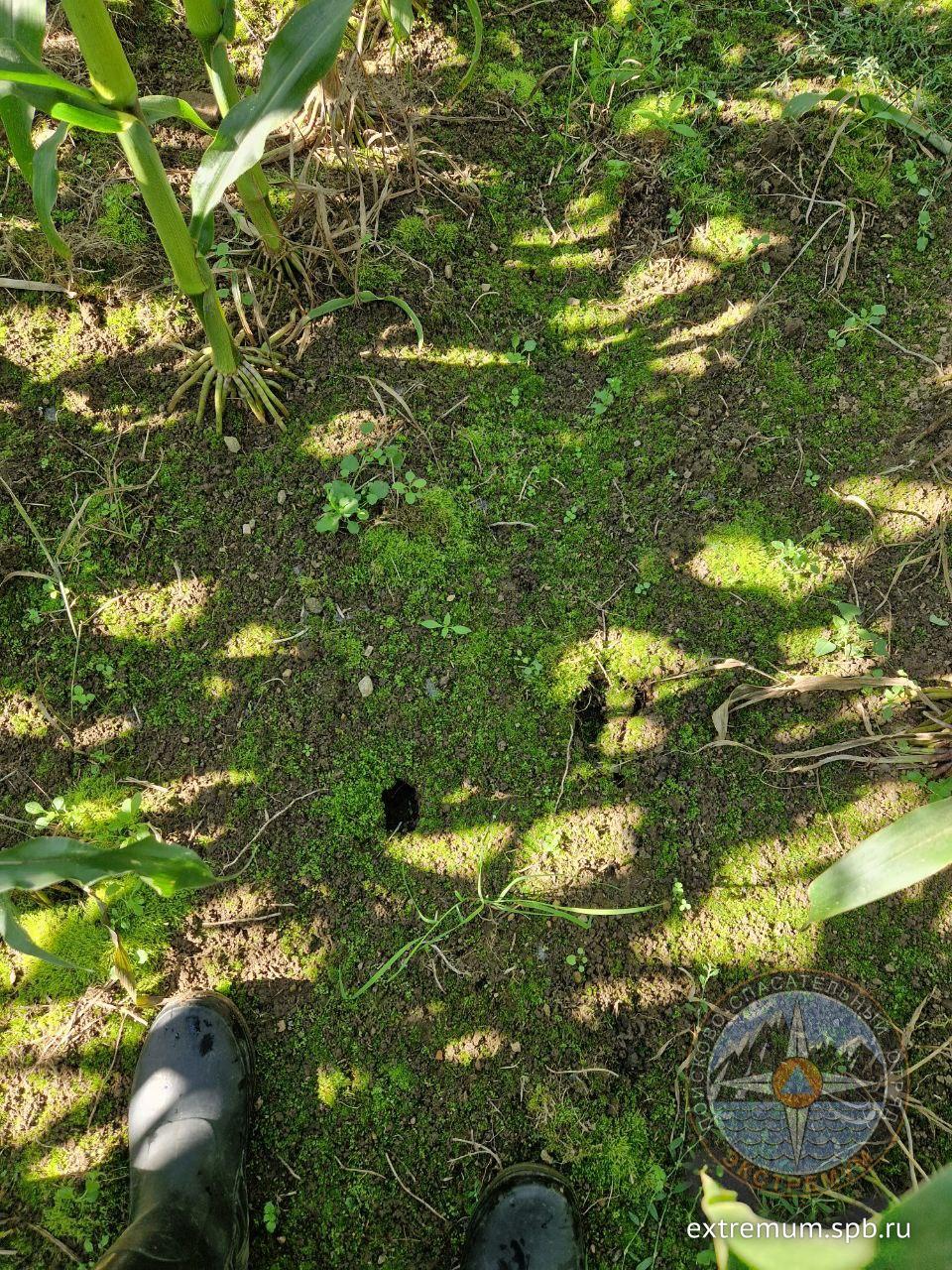 IMG_5368.jpeg