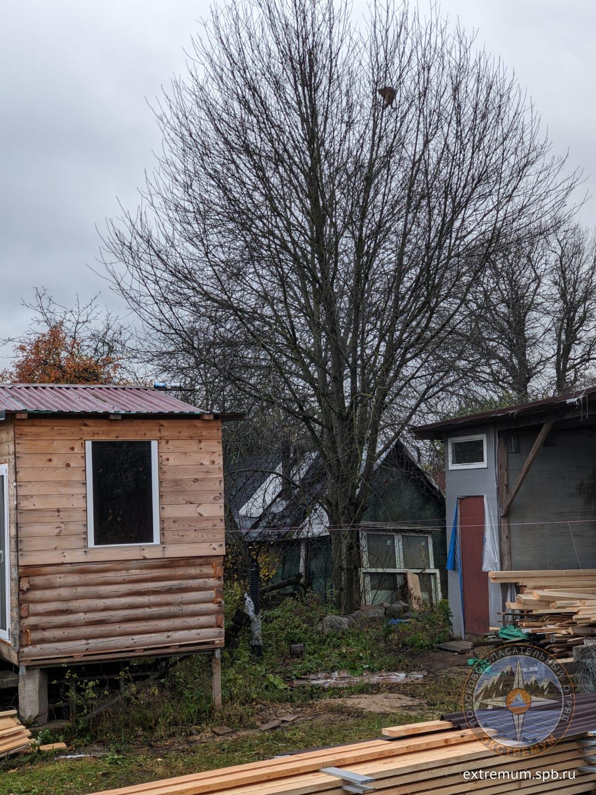 WhatsApp Image 2024-10-31 at 14.31.29.jpeg