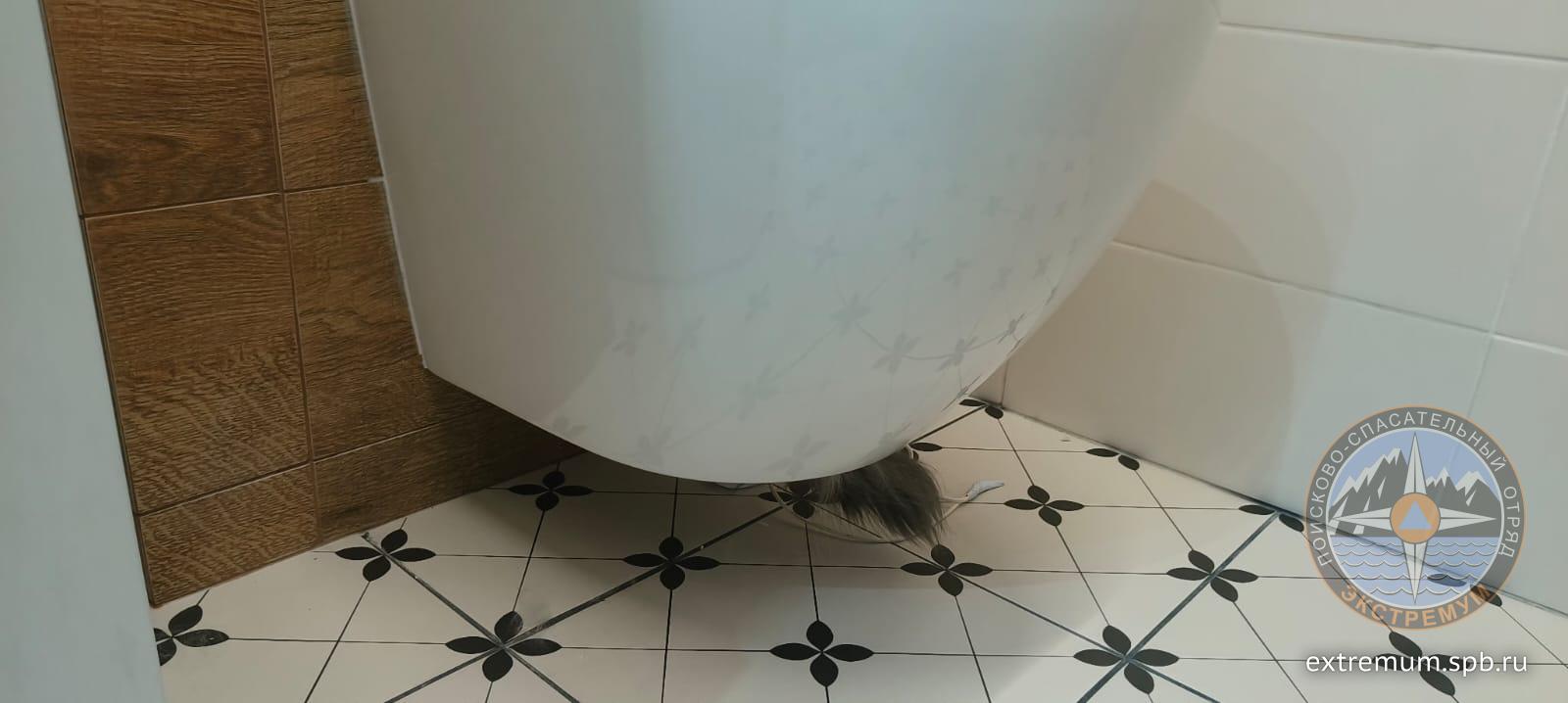 WhatsApp Image 2024-10-31 at 21.17.21.jpeg