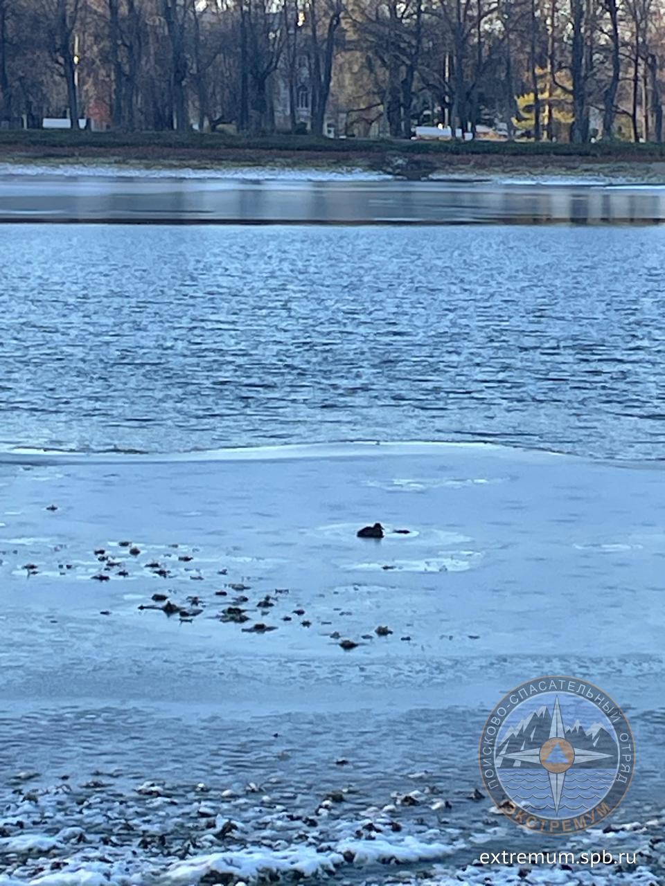 Изображение WhatsApp 2024-11-04 в 15.45.13_81f9169d.jpg