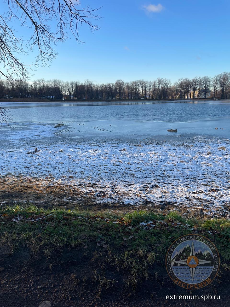 Изображение WhatsApp 2024-11-04 в 15.45.13_496d1a43.jpg