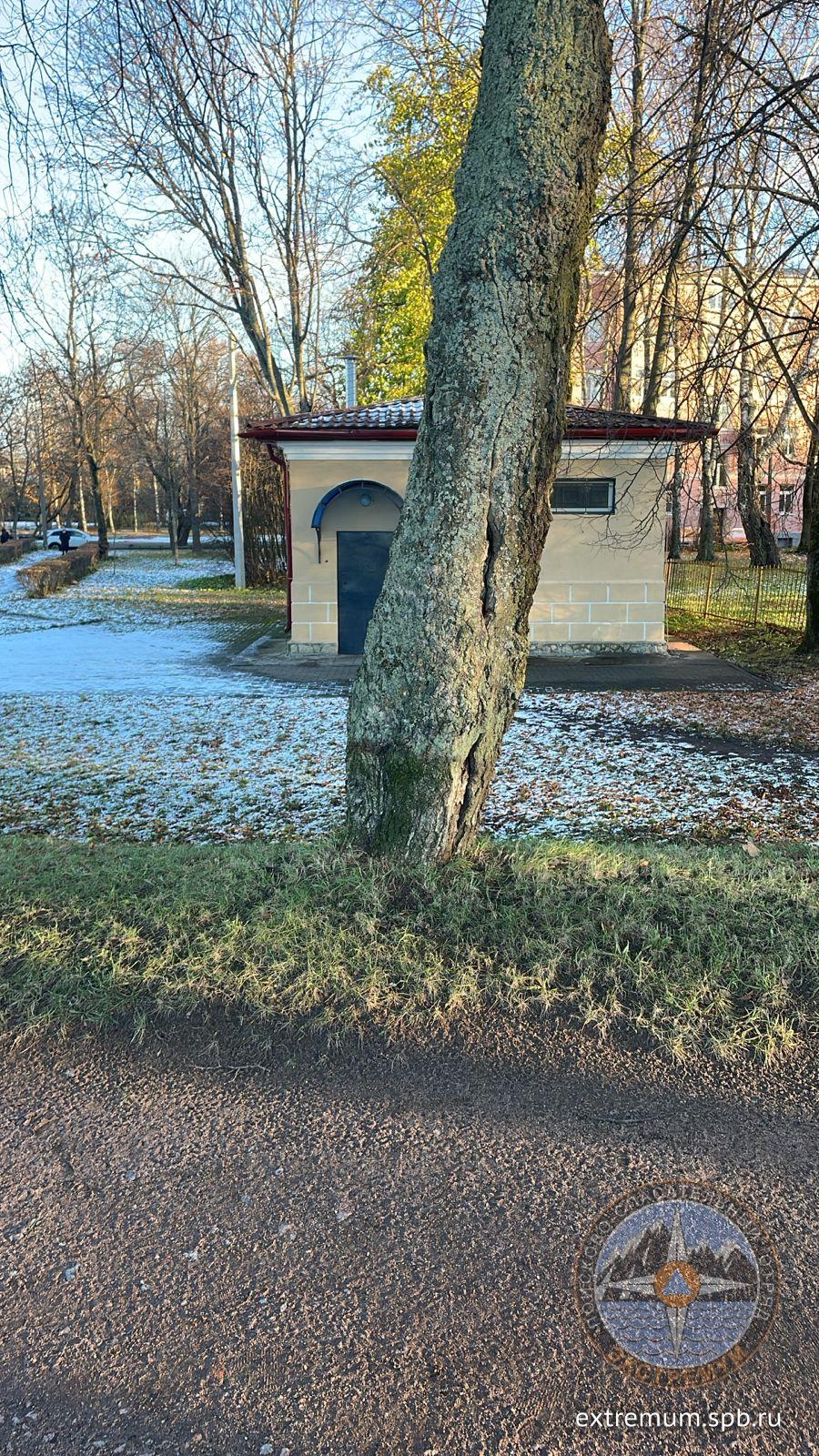 Изображение WhatsApp 2024-11-04 в 15.45.26_e7aca194.jpg