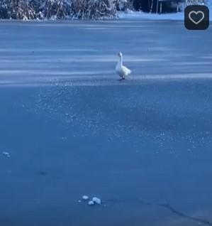 Снимок экрана 2024-11-05 124023.jpg