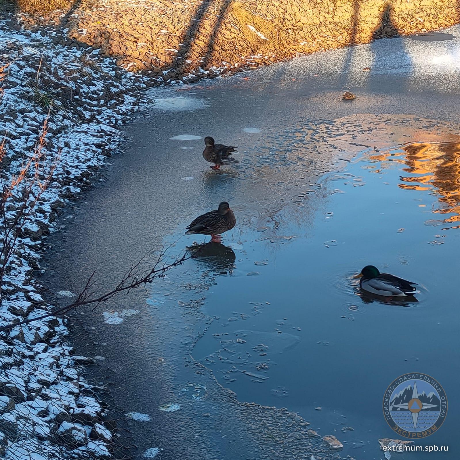 WhatsApp Image 2024-11-25 at 09.46.56_f7c0023e.jpg