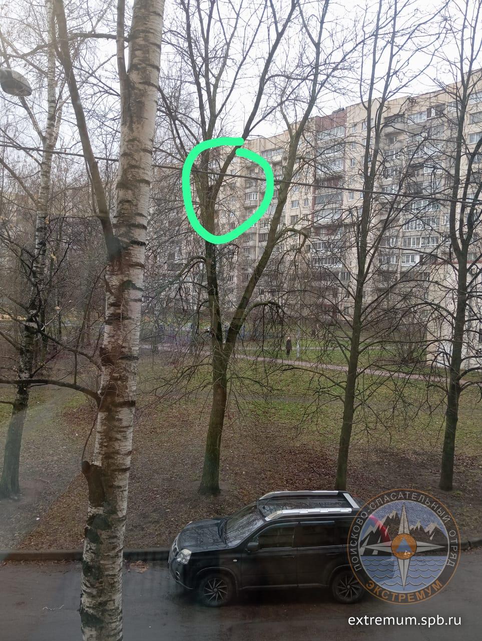 WhatsApp Image 2024-11-28 at 11.22.45.jpeg