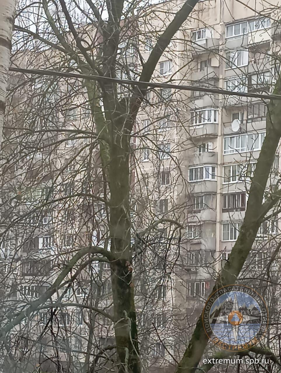 WhatsApp Image 2024-11-28 at 11.22.43.jpeg