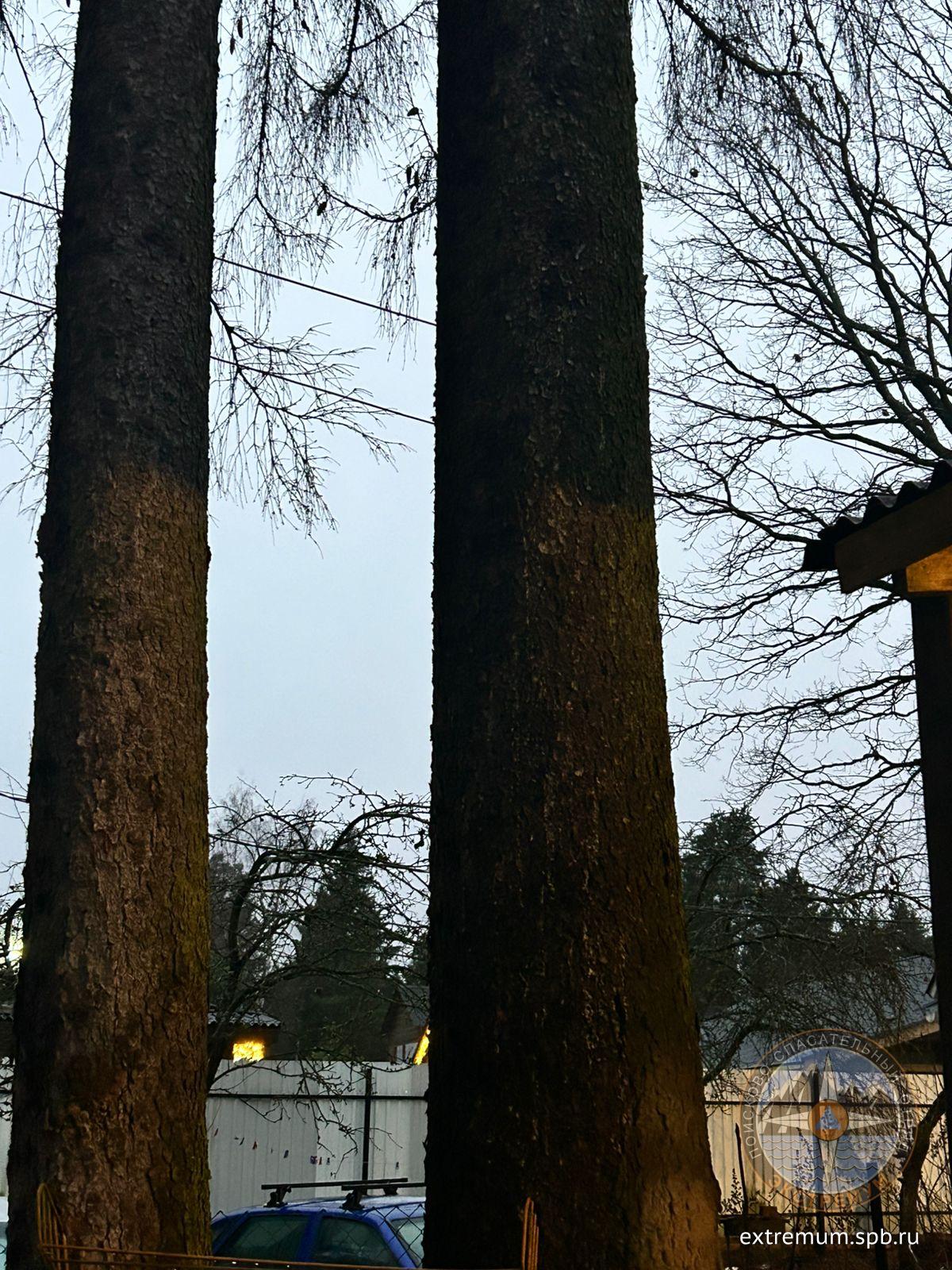 WhatsApp Image 2024-12-29 at 09.32.46.jpeg