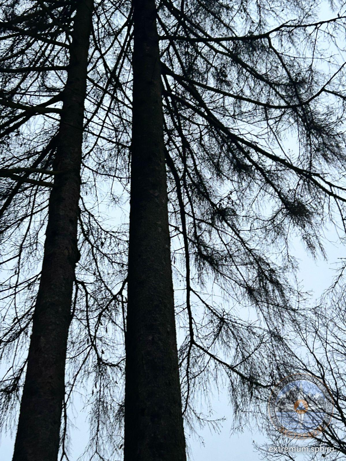 WhatsApp Image 2024-12-29 at 09.32.55.jpeg