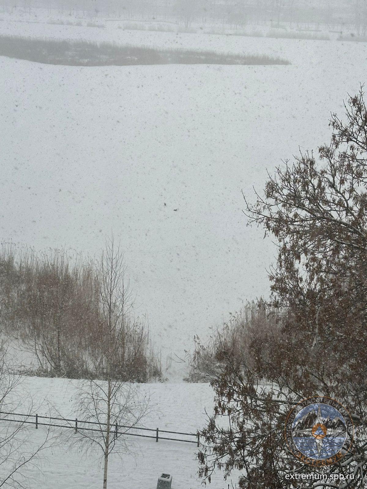 WhatsApp Image 2025-01-03 at 14.06.18_b0e1e320.jpg