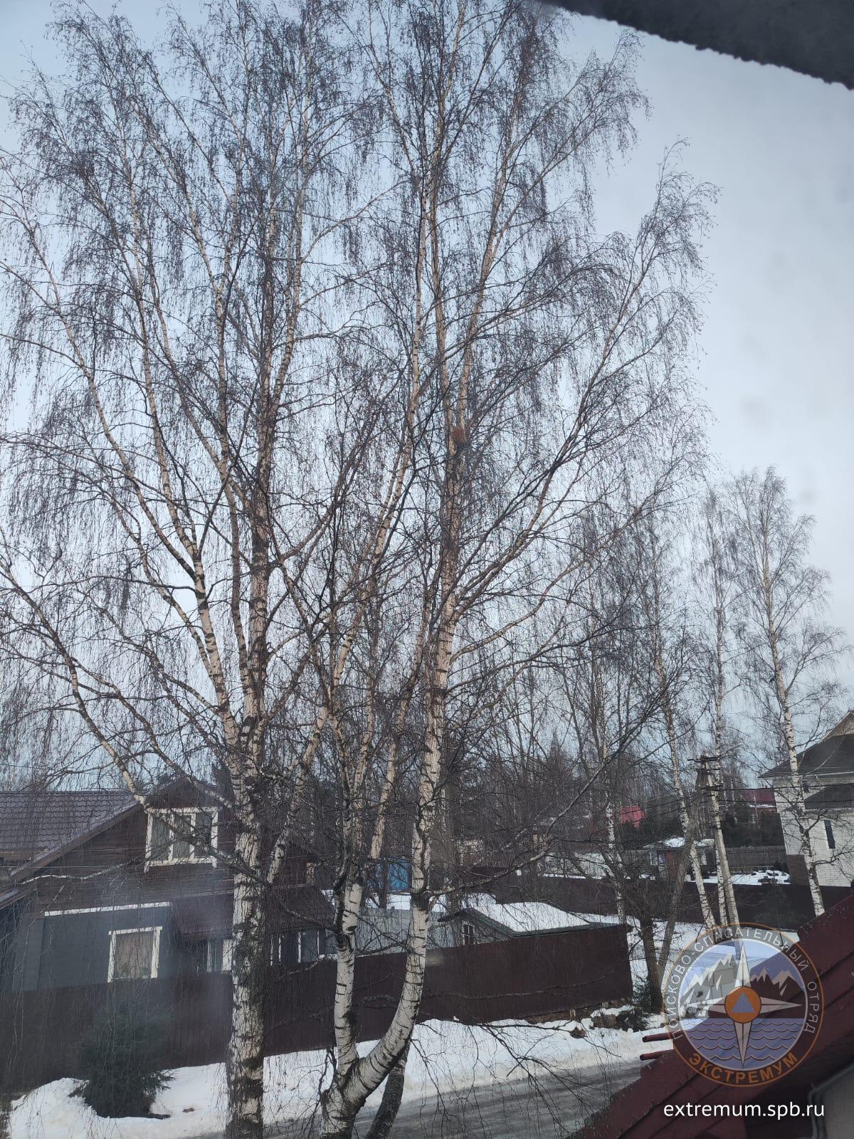 WhatsApp Image 2025-01-21 at 09.58.27.jpeg