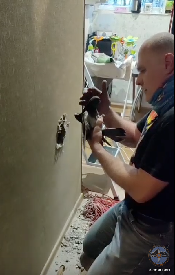 Снимок экрана 2025-01-25 в 17.11.08.png