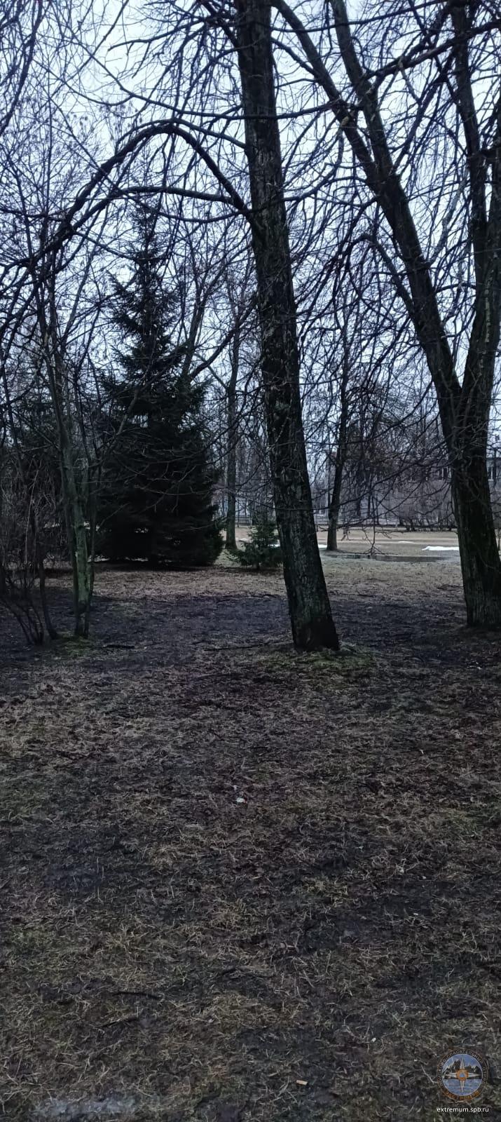 WhatsApp Image 2025-01-31 at 09.09.59 (1).jpeg