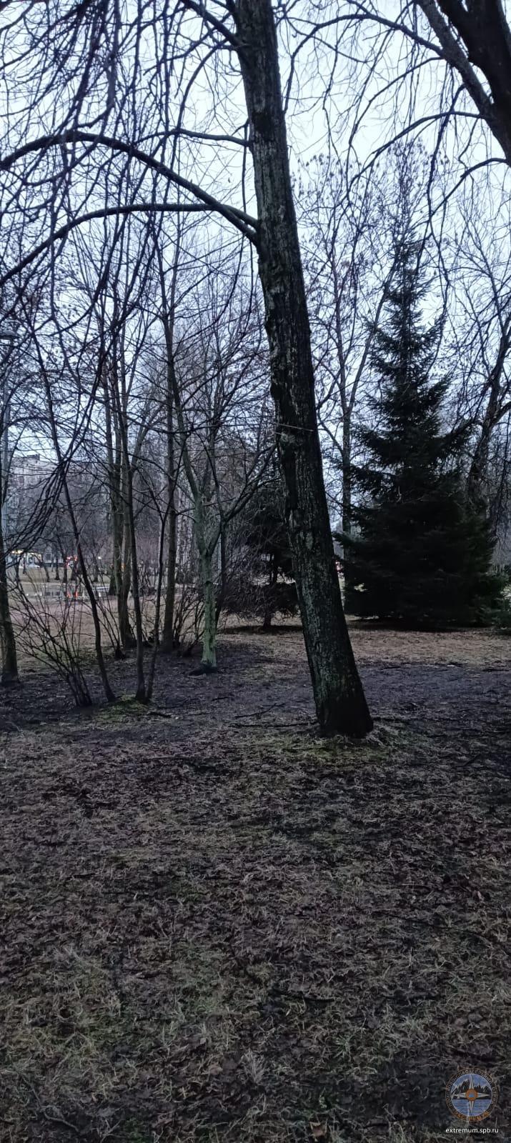 WhatsApp Image 2025-01-31 at 09.09.59.jpeg