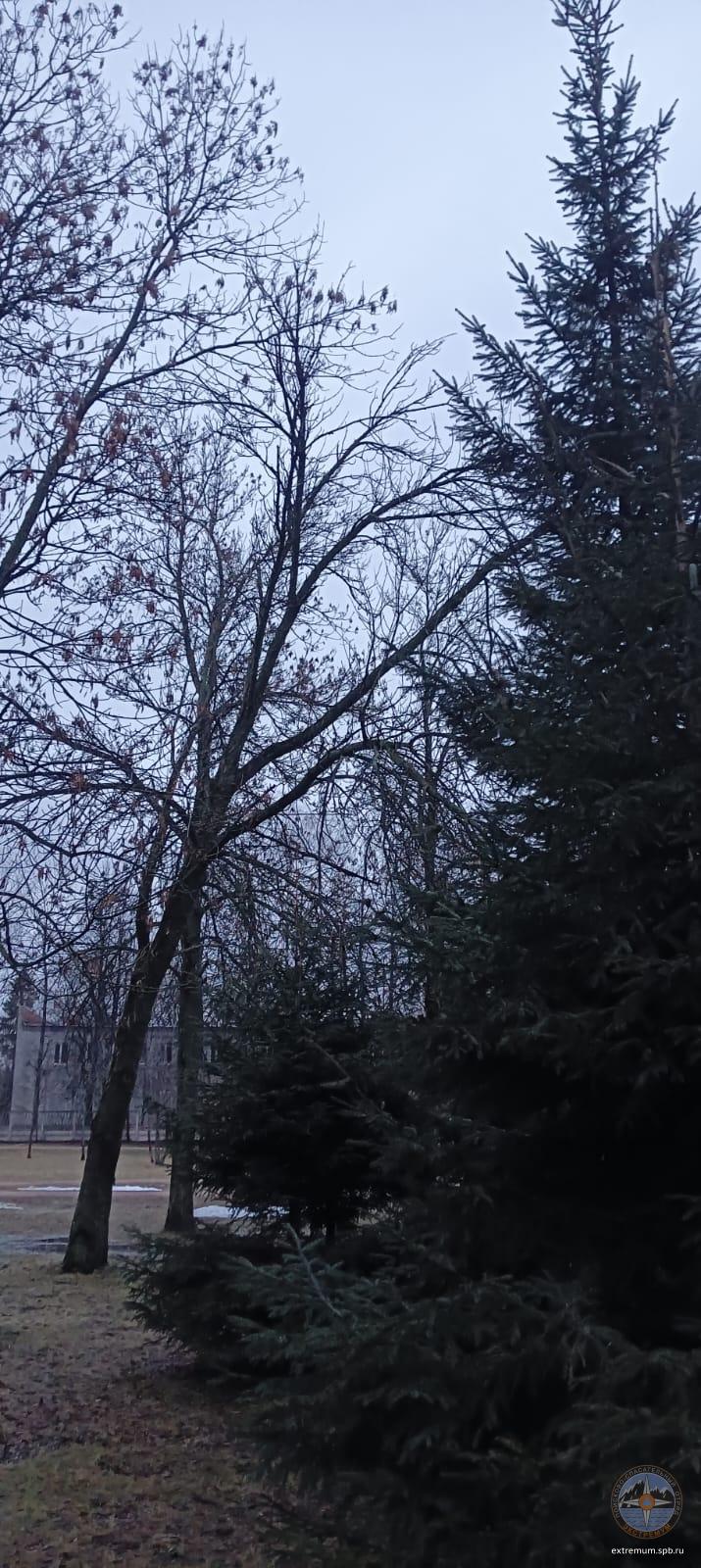 WhatsApp Image 2025-01-31 at 09.10.00.jpeg