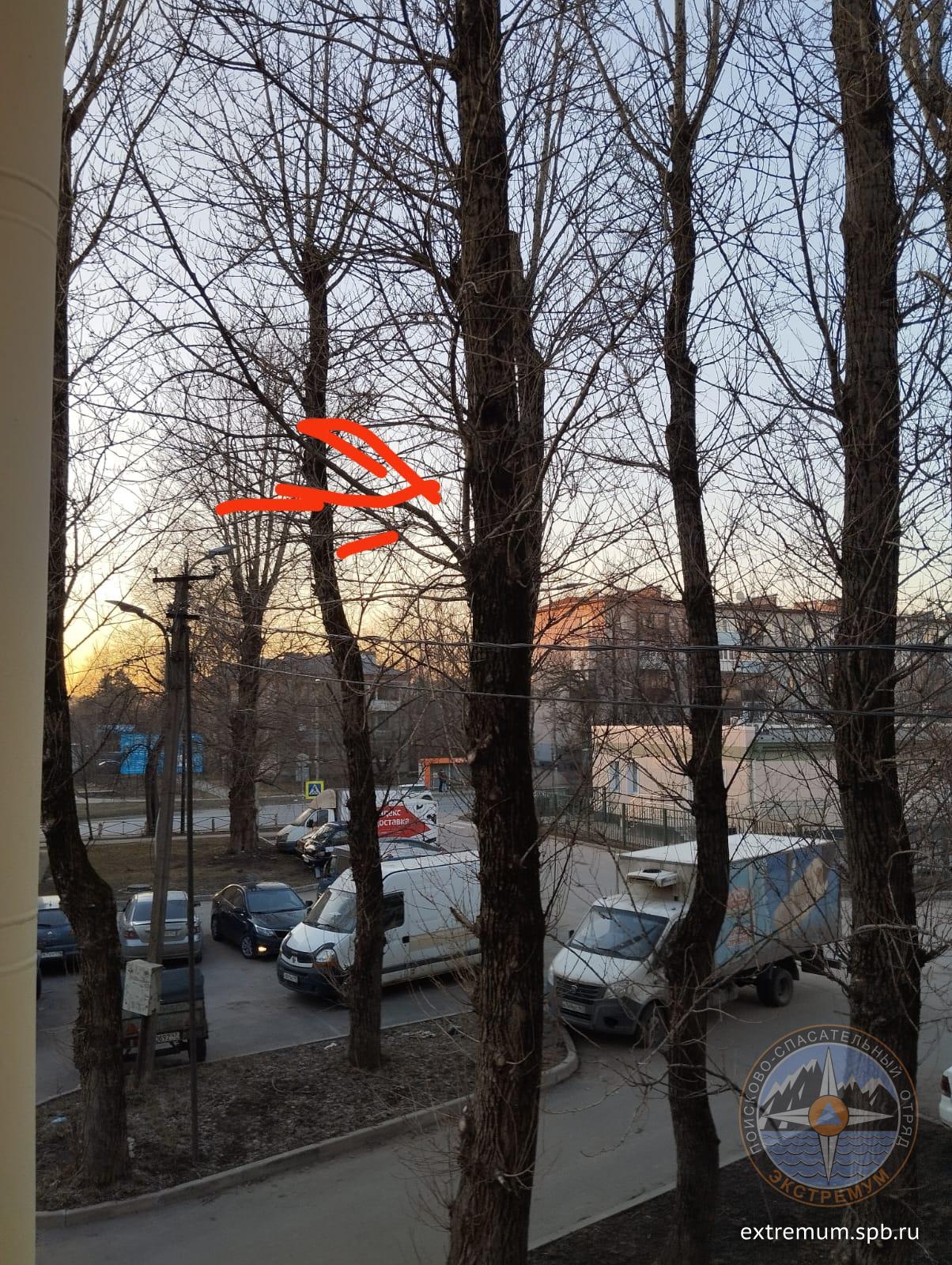 WhatsApp Image 2025-03-23 at 19.05.11.jpeg