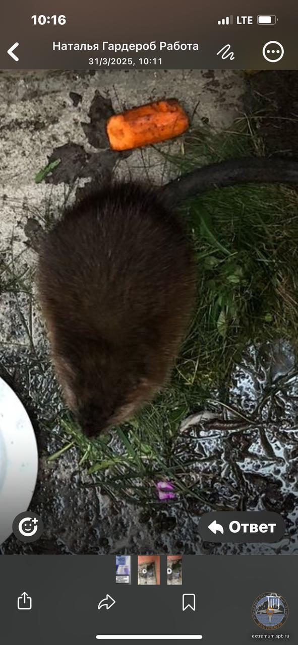 WhatsApp Image 2025-03-31 at 10.17.06.jpeg