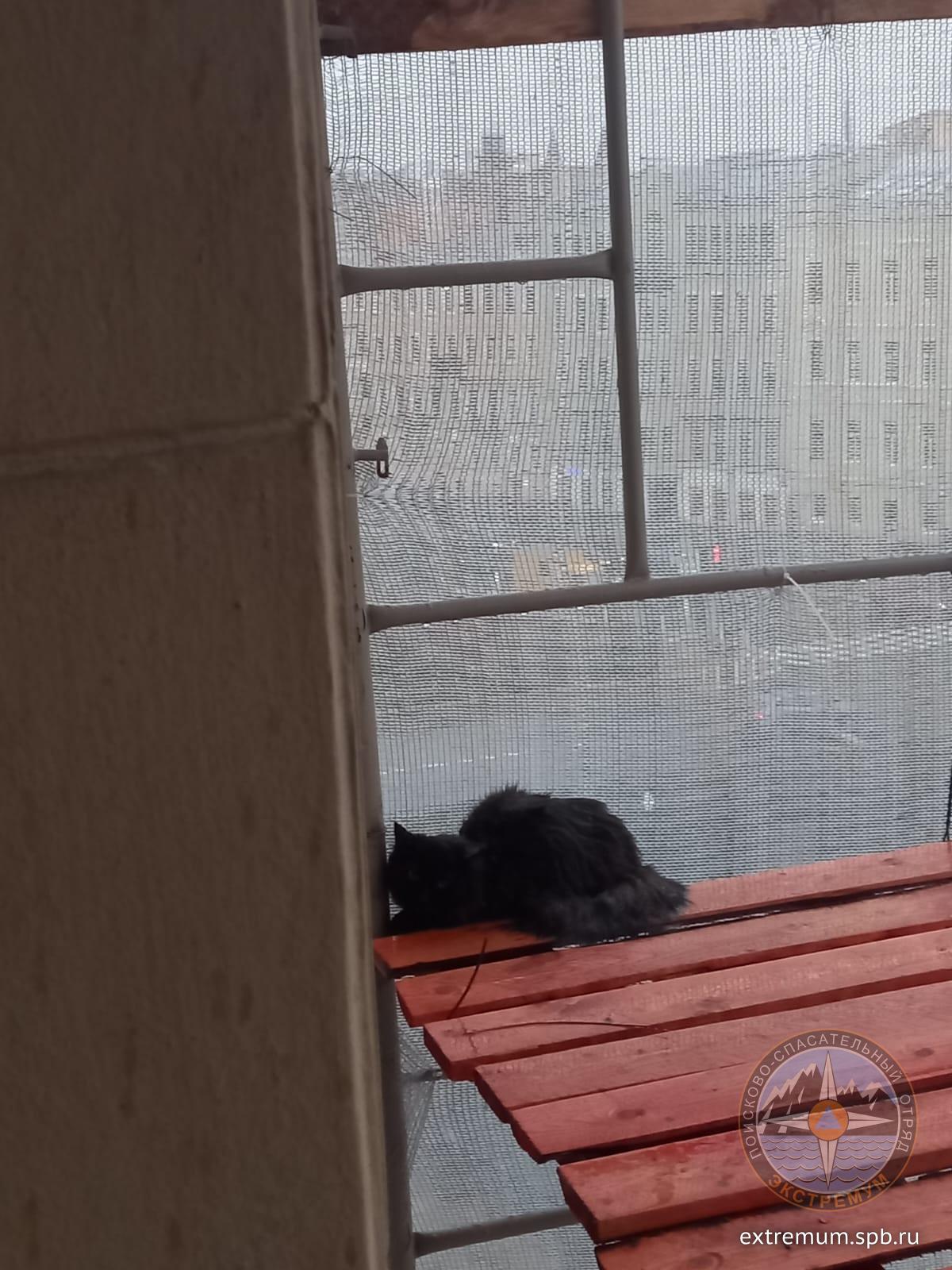 гриб.jpg