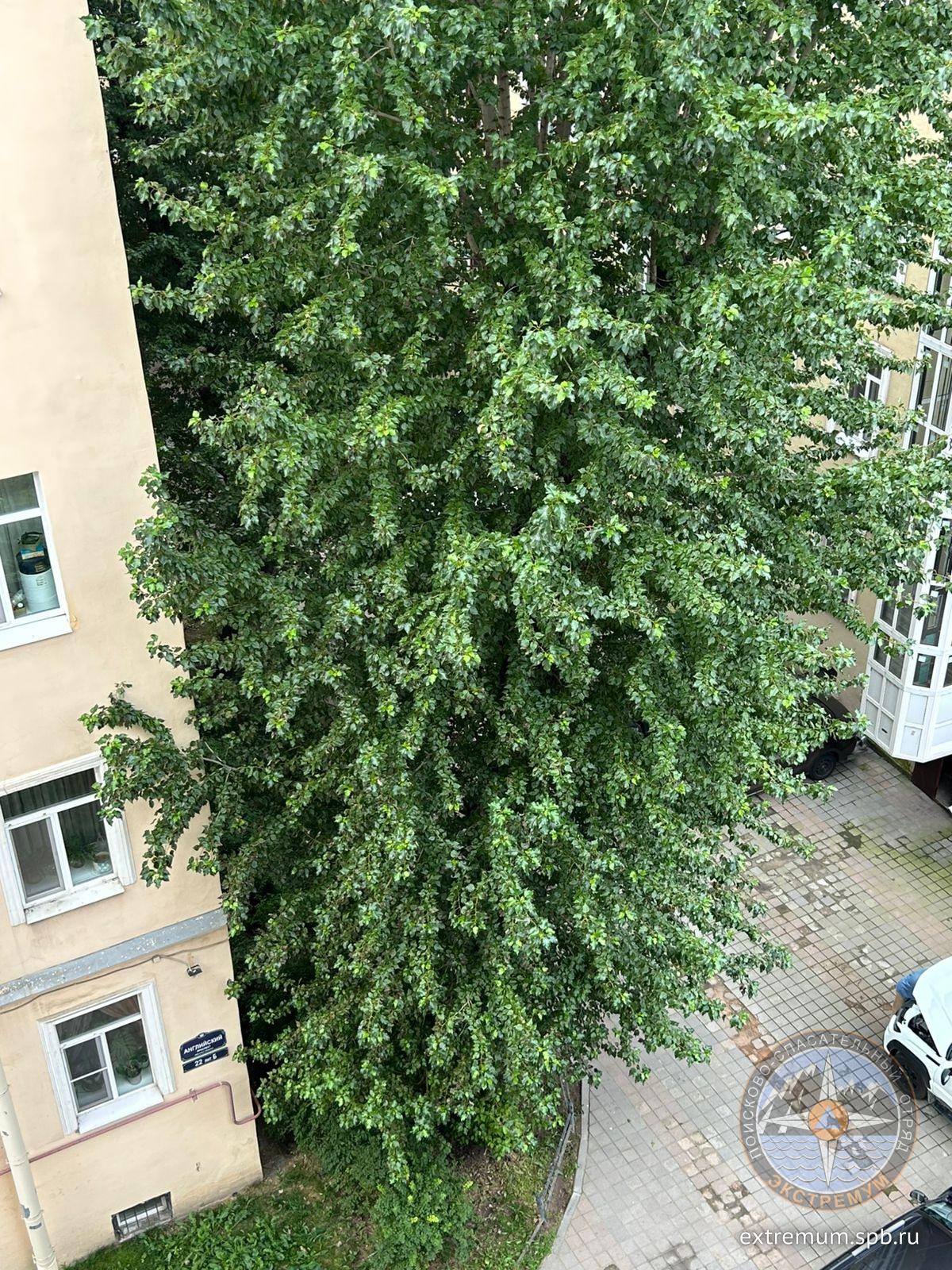 а2.jpg