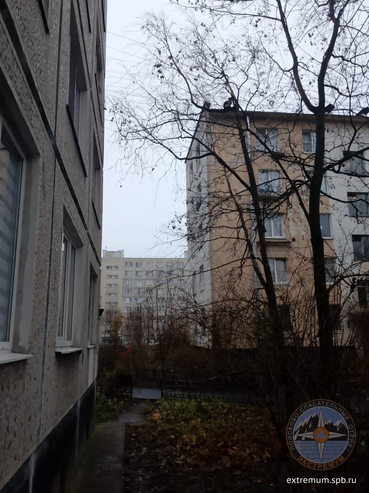 WhatsApp Image 2025-11-11 at 09.13.26 (1).jpeg