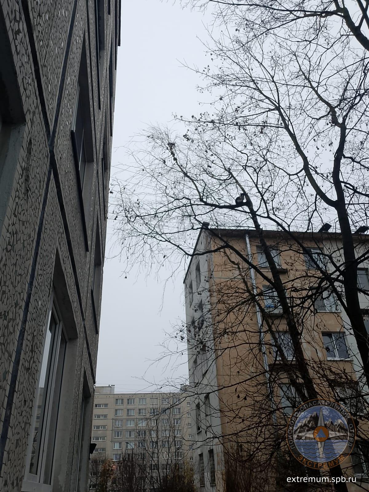 WhatsApp Image 2025-11-11 at 09.13.26.jpeg