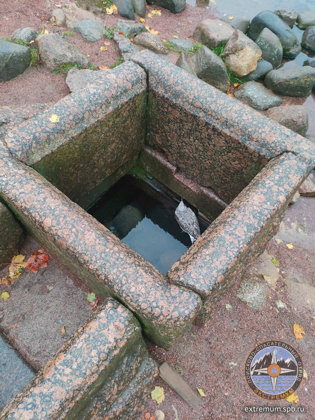 WhatsApp Image 2024-10-10 at 14.44.16.jpeg