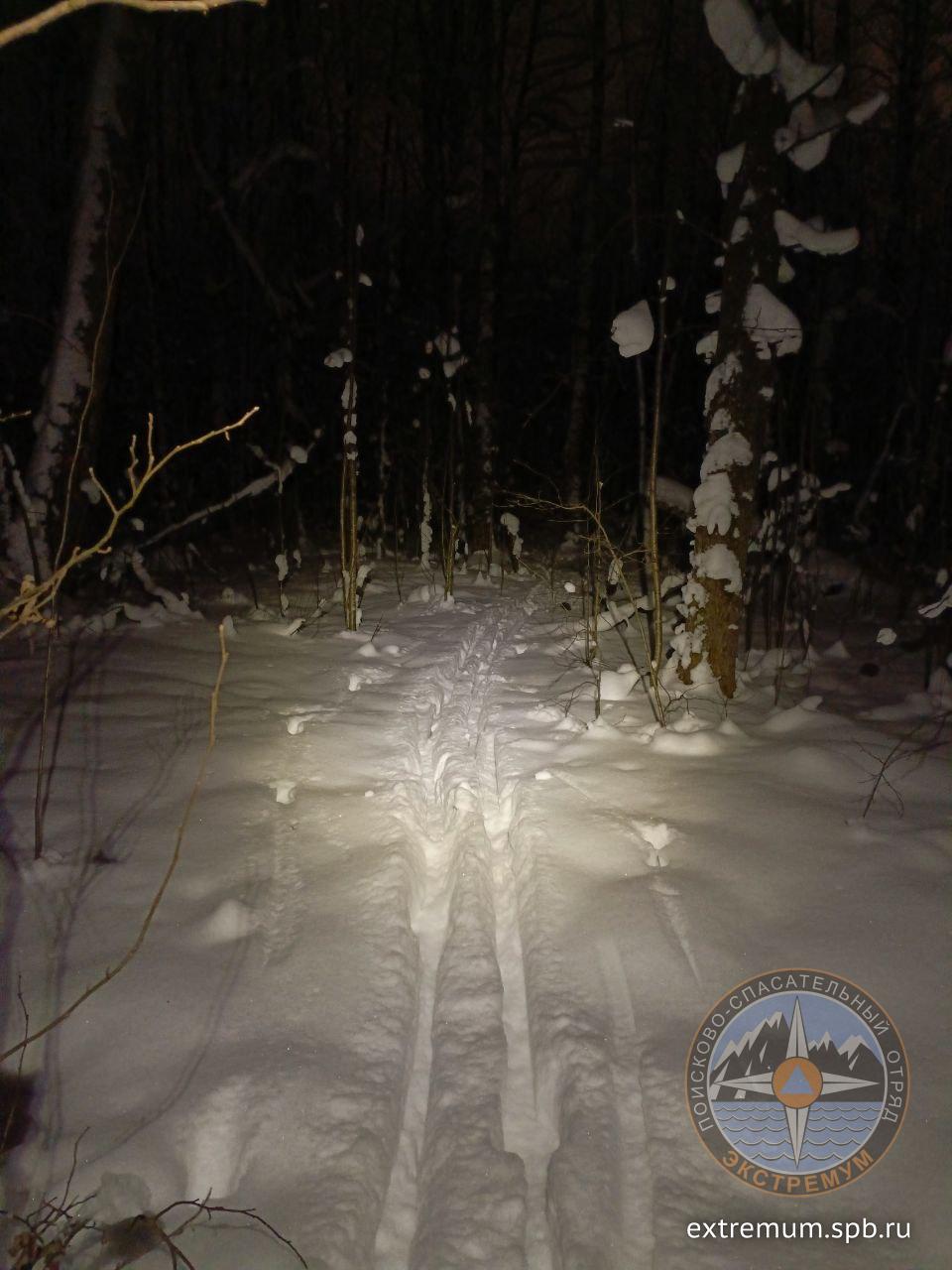 Следы на лыжне.jpg