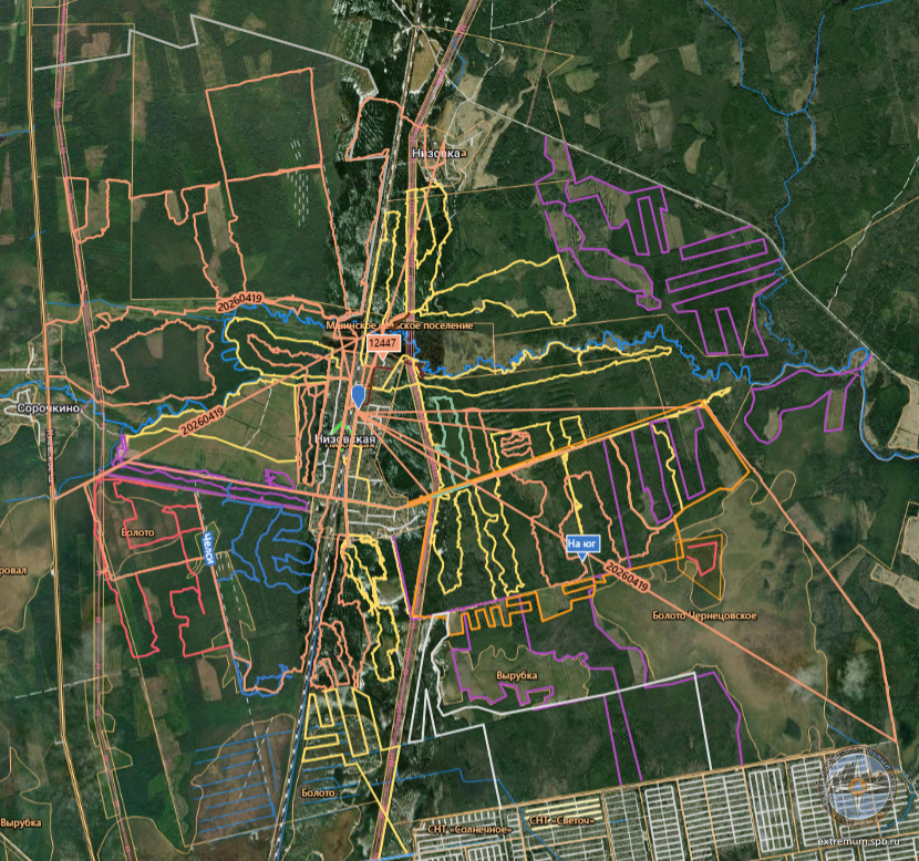 20.04 День Задачи Спутник.png