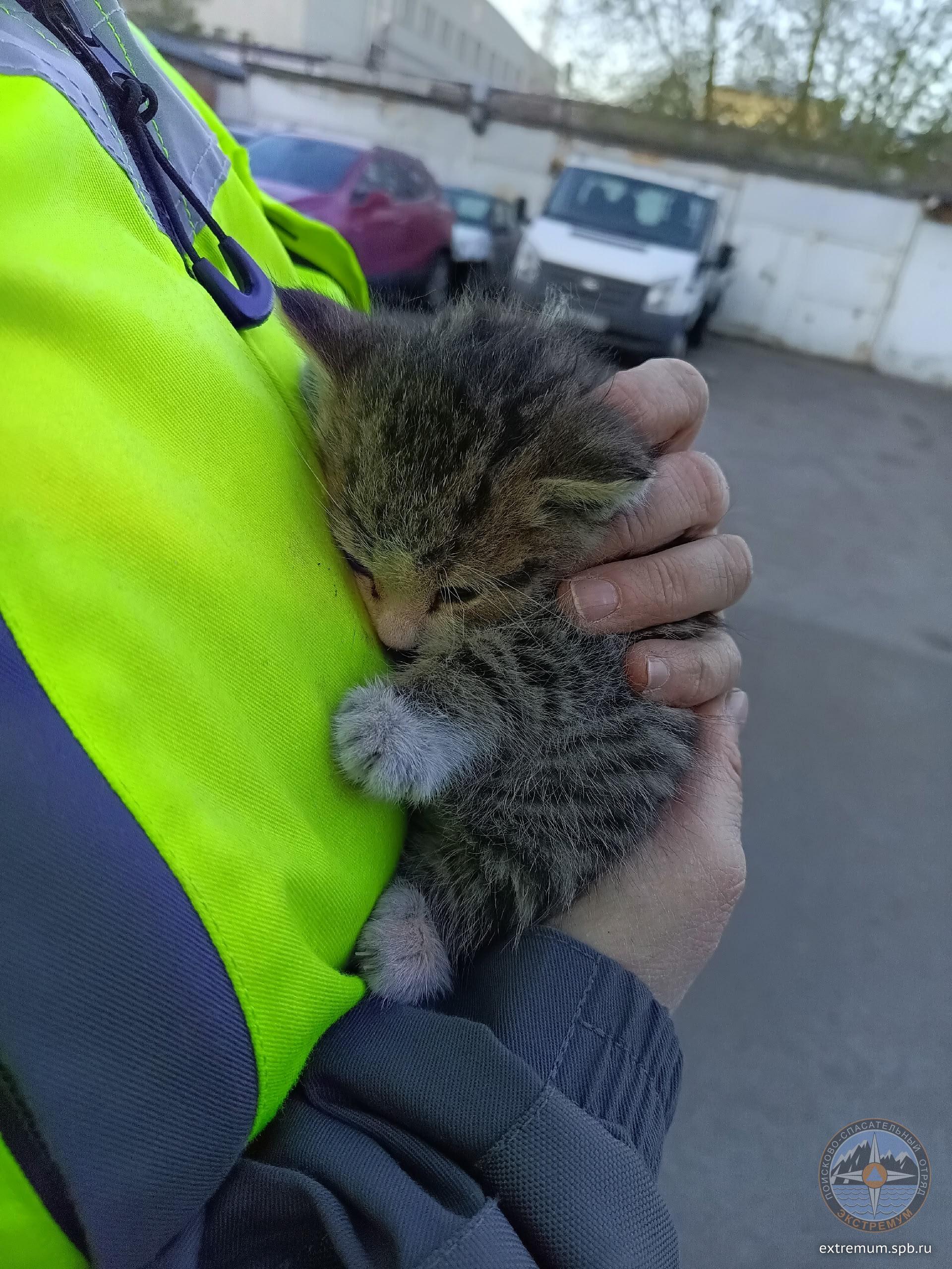 обв.jpg