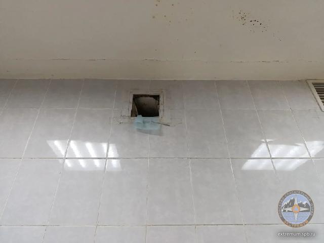 EBF533F7-0254-4436-9FE7-796D4F1A80AD.jpeg