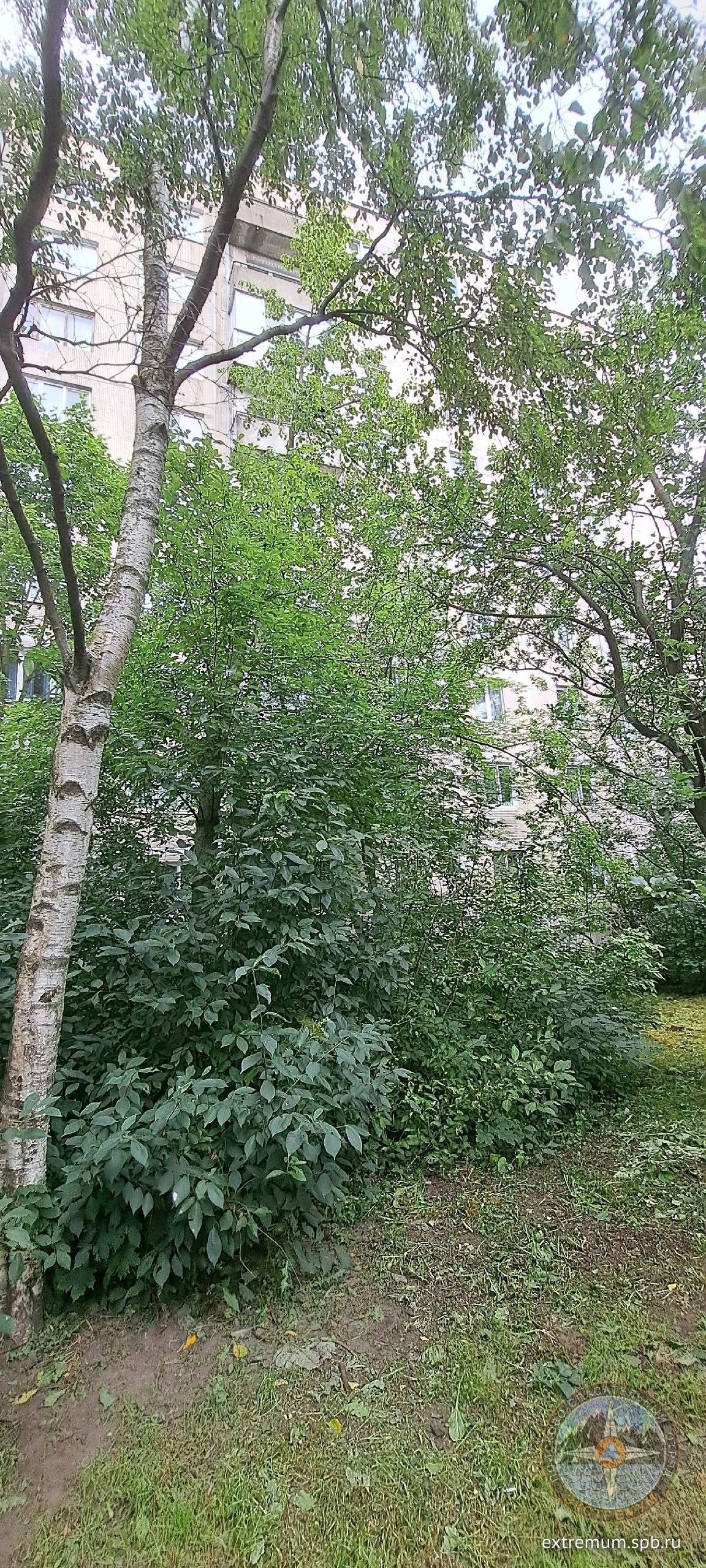 1DiQjCRzfZH8O71Mu63bPlQT4SPvoAoPN6dY_seATCRPXS8VUtyI_INrWVssV2CO3qC_UABB9nA12cWtYmwByrC3.jpg