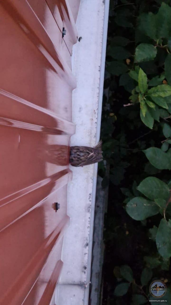 aEVyZeaaMKvO7Z4-lx21pYhWbaY40eeQC3g0GbXi4frIUMOTd_CgVzEp3DFt9q2SkLkOh1KwlO2I_m7LR69f7oJ4.jpg