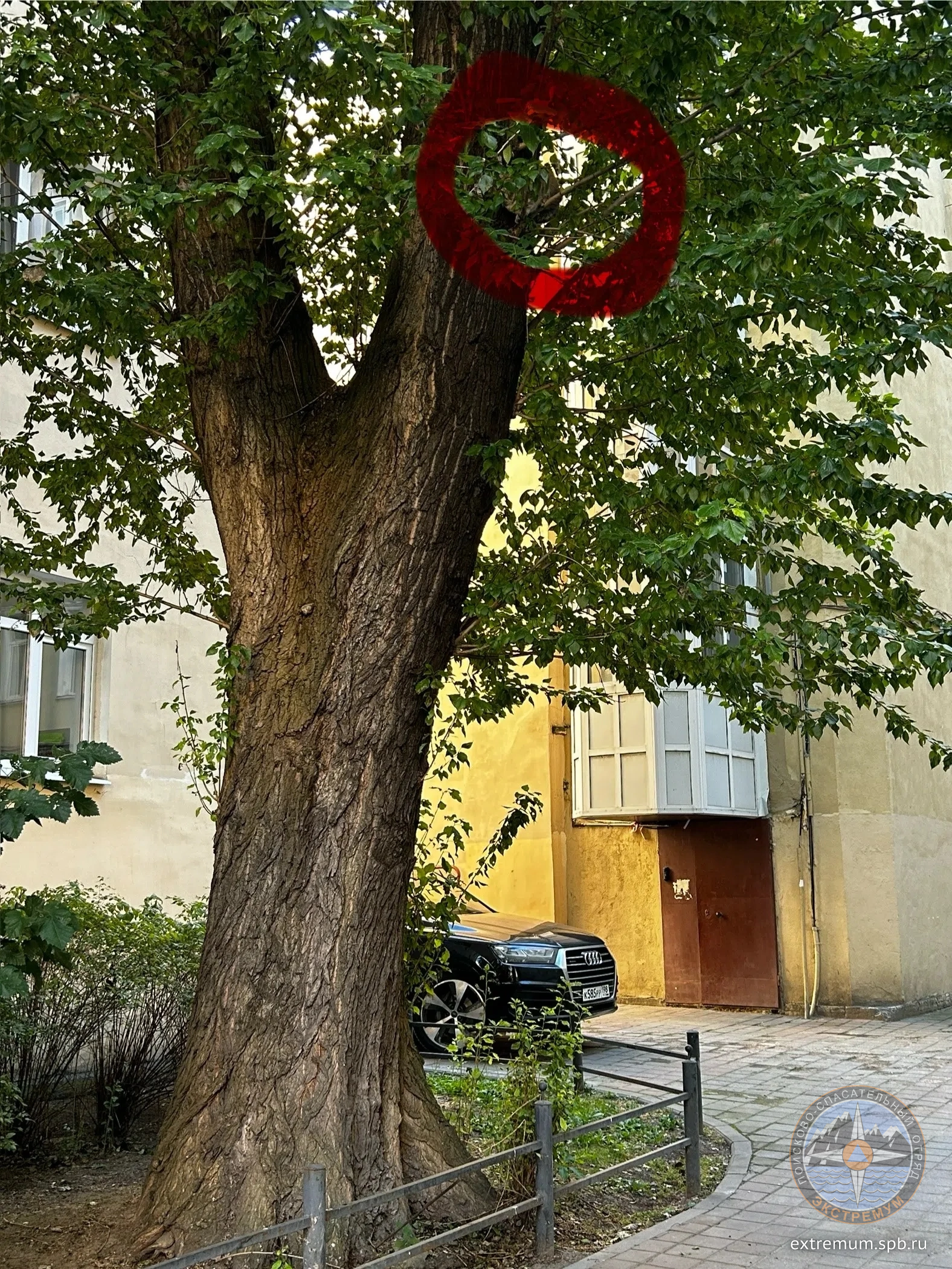 IMG_1300.png