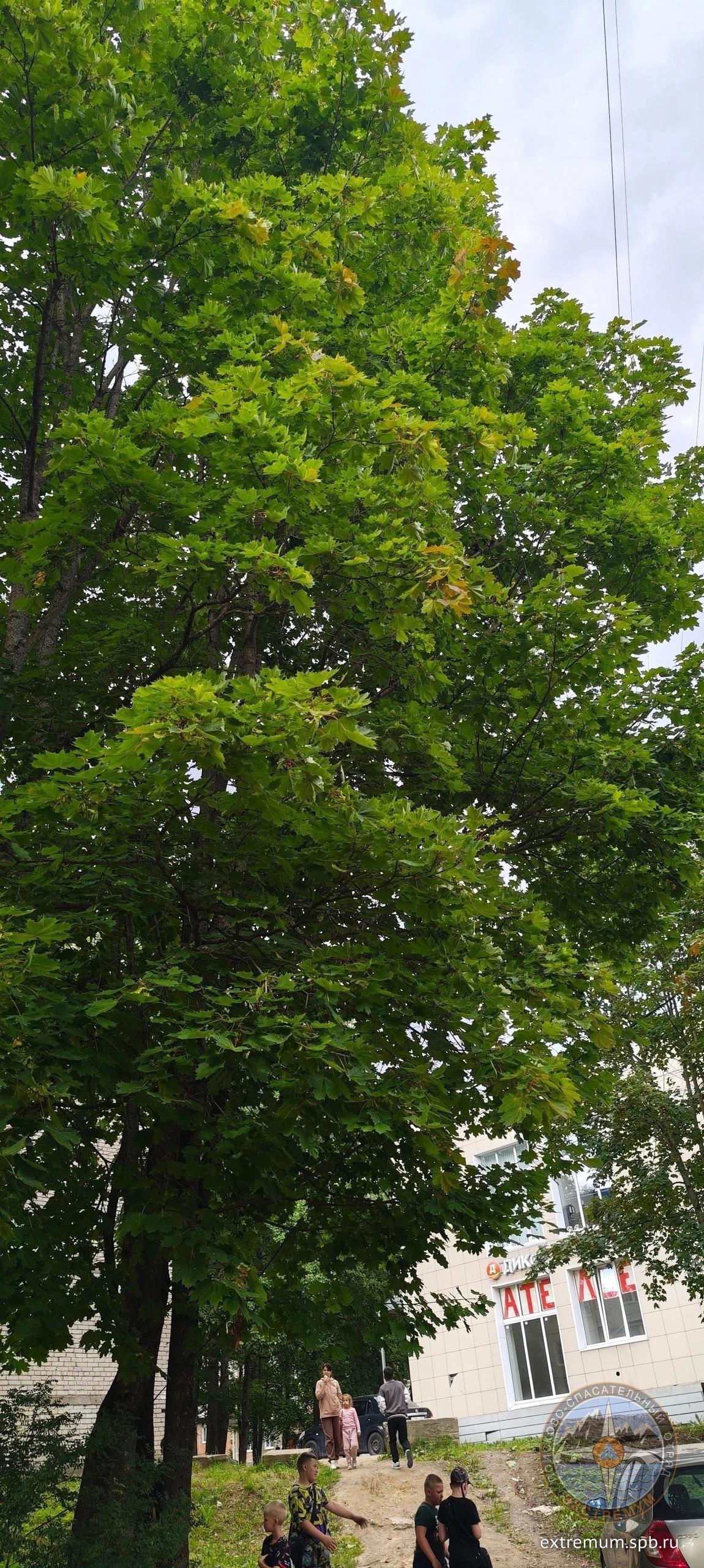 w2kUF4RQLNq6TV_r1erBJrJPj6vE-tkuQtcjPLa_ybRNdtG4YwsIBONBILbrzKuBl7a-4Pibg6e6QrQEqlbKF0vr.jpg