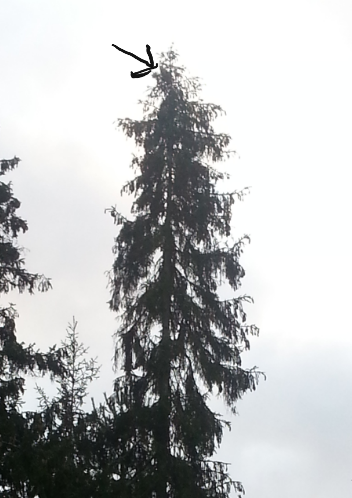 2014-11-01 09.07.54.png