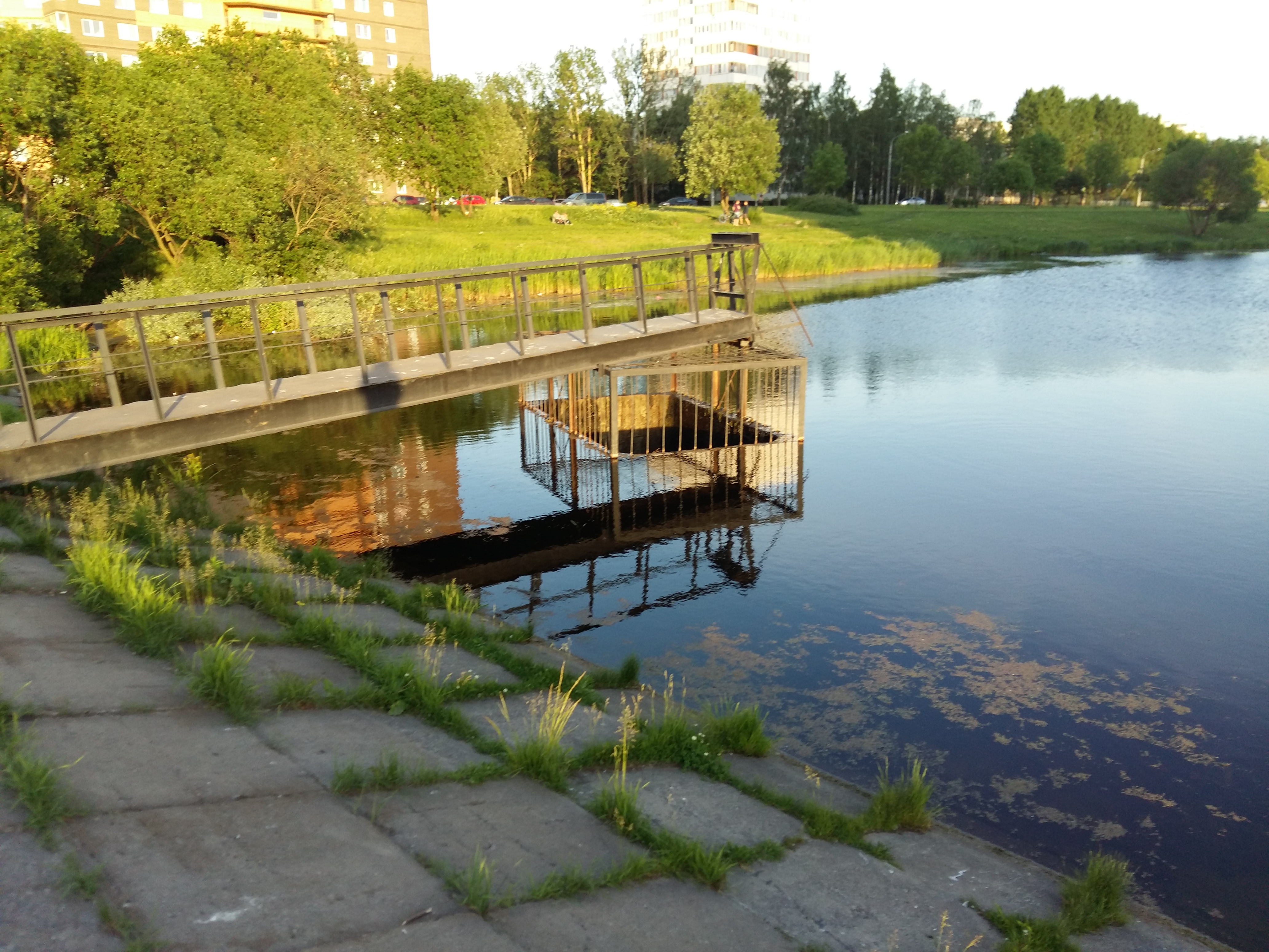20160531_203404.jpg