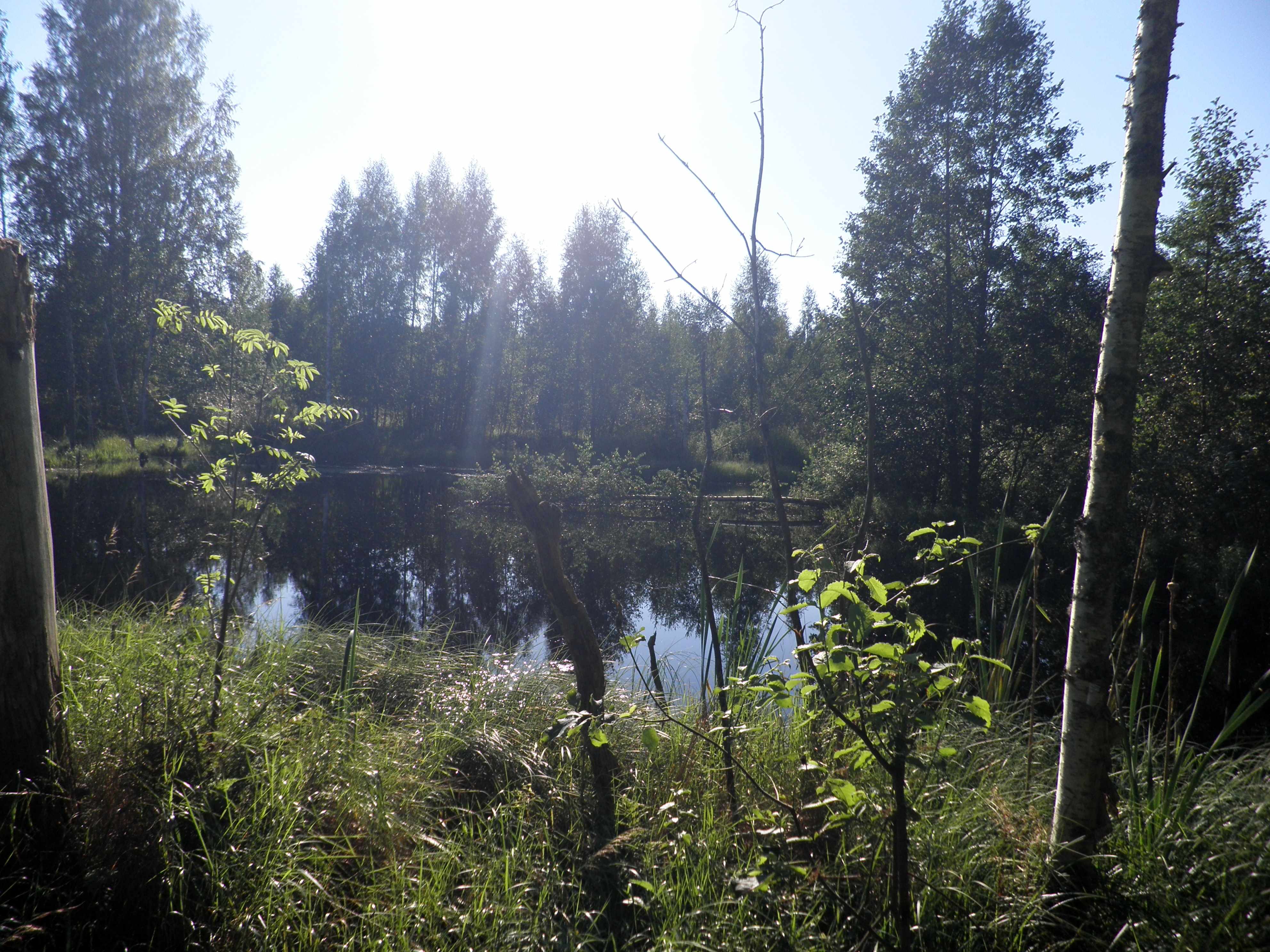 P8200004.JPG