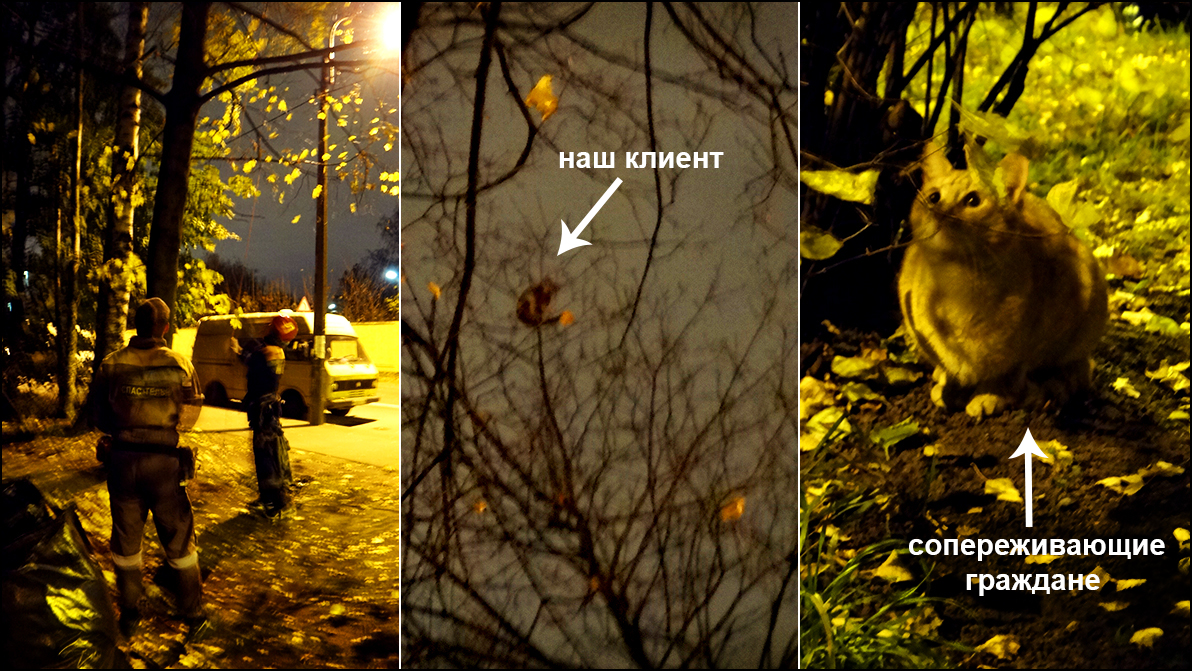 634. (осень 2016).JPG