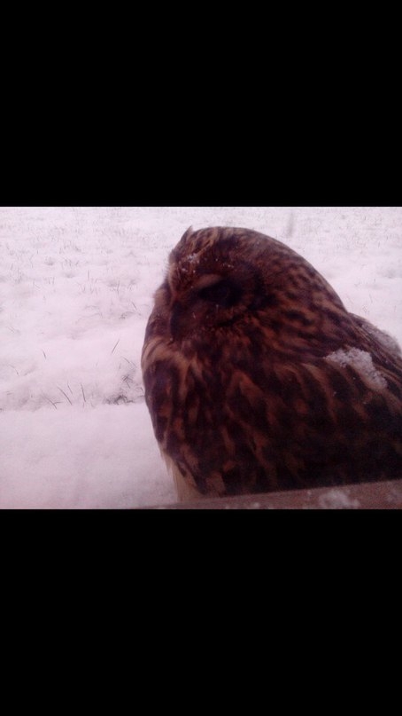 VK_Saved_Photo_ 636139664045918857.jpg