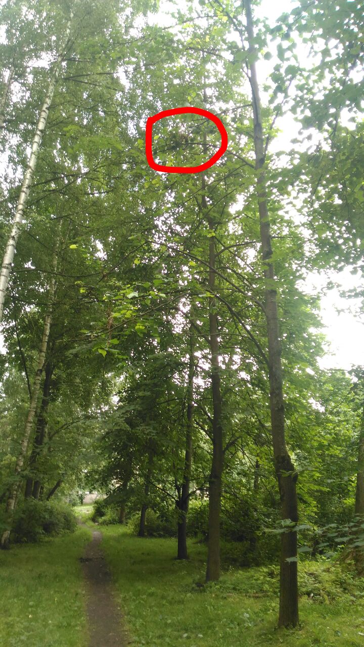 кот на гражданке.jpg