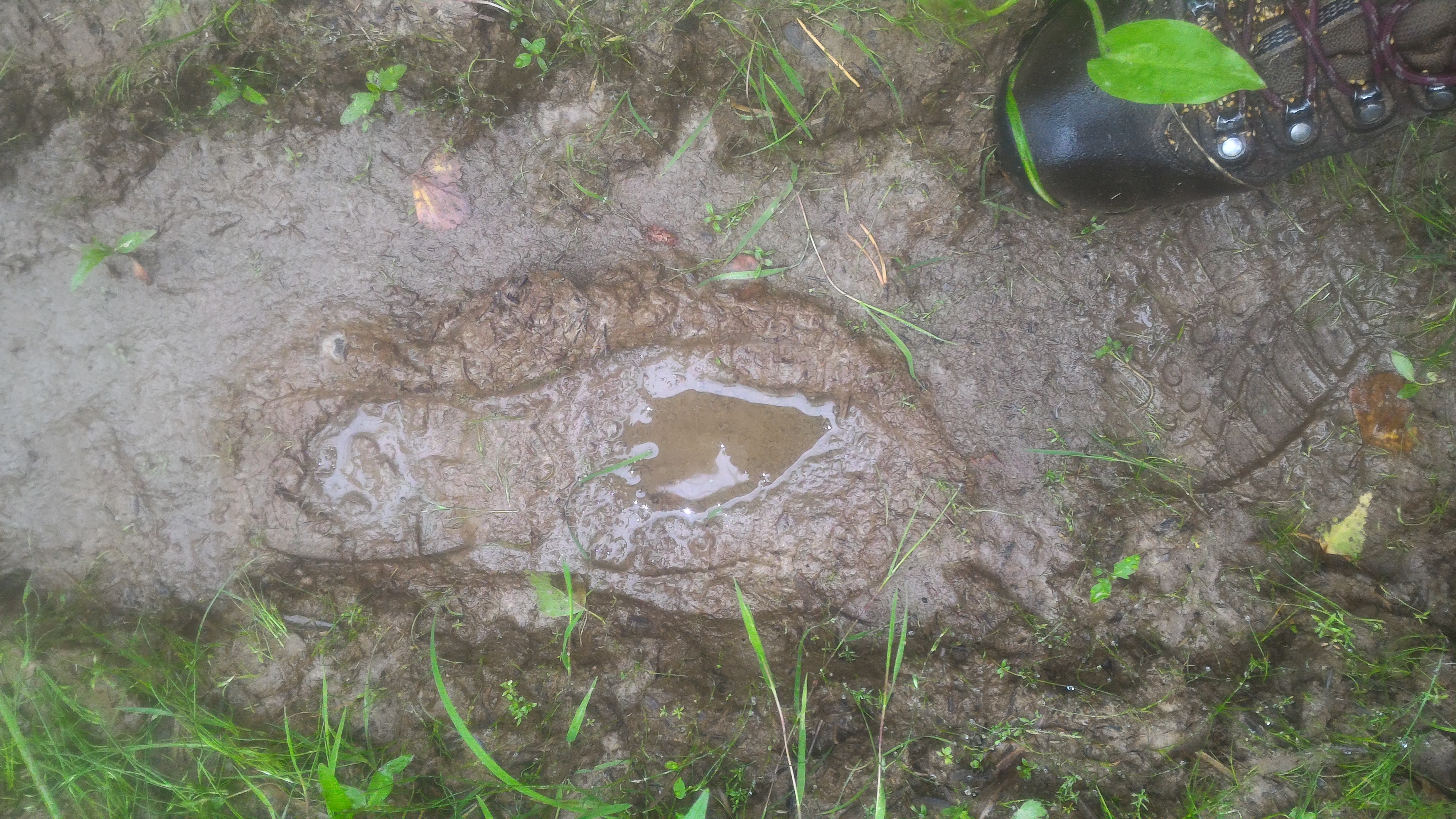 P_20170804_093650.jpg