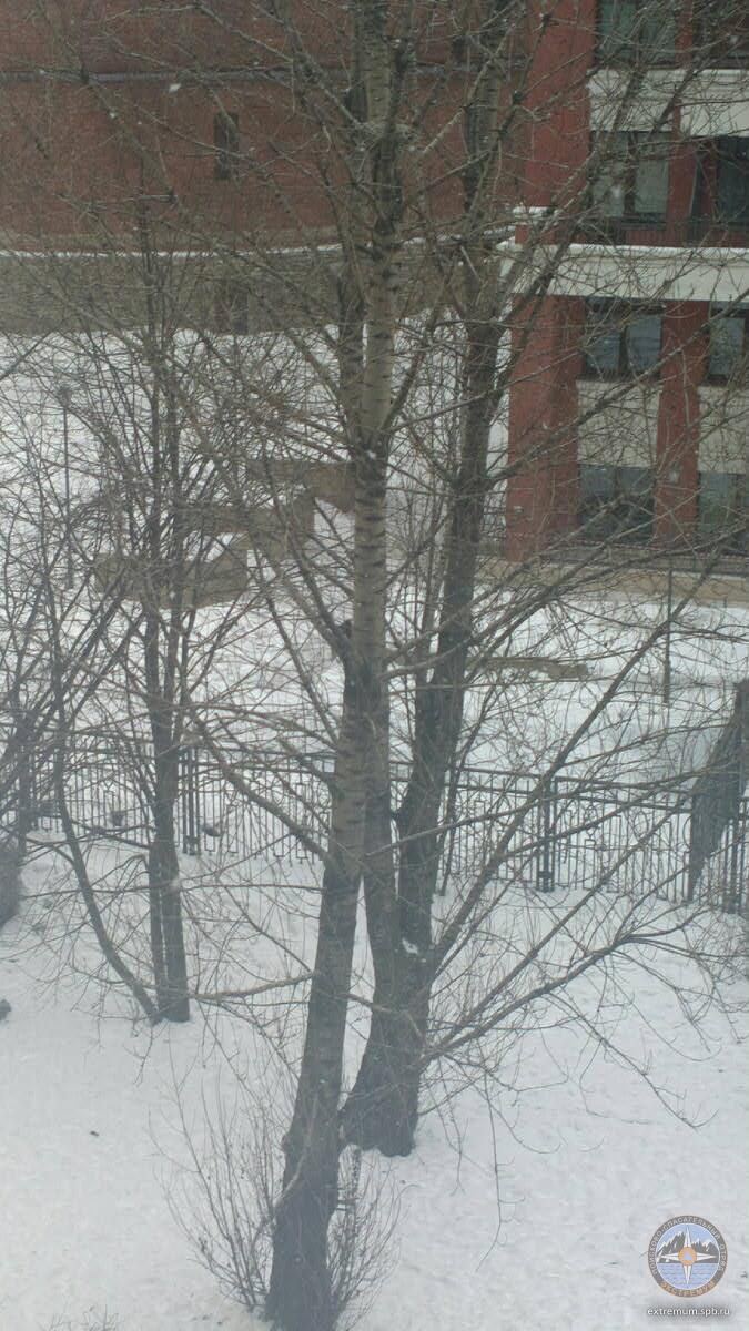 2018_03_.jpg