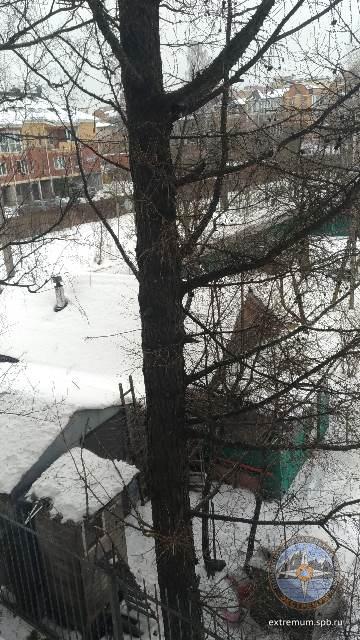 P_20180311_102216.jpg