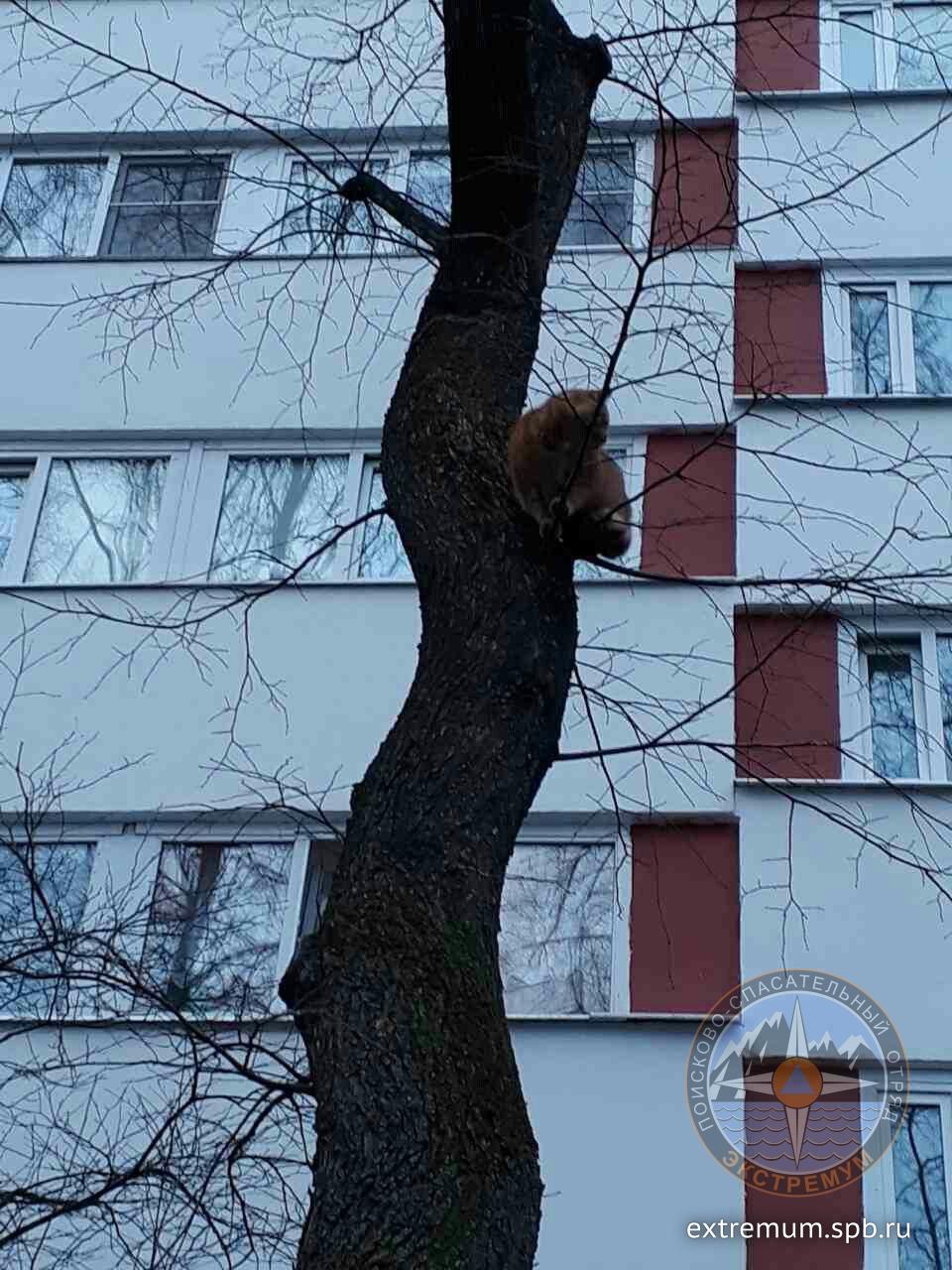 PaoHachBUtA.jpg