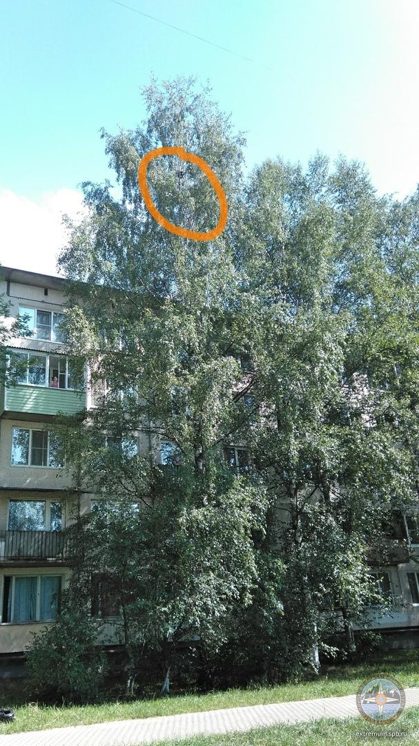 культуры 2.jpg