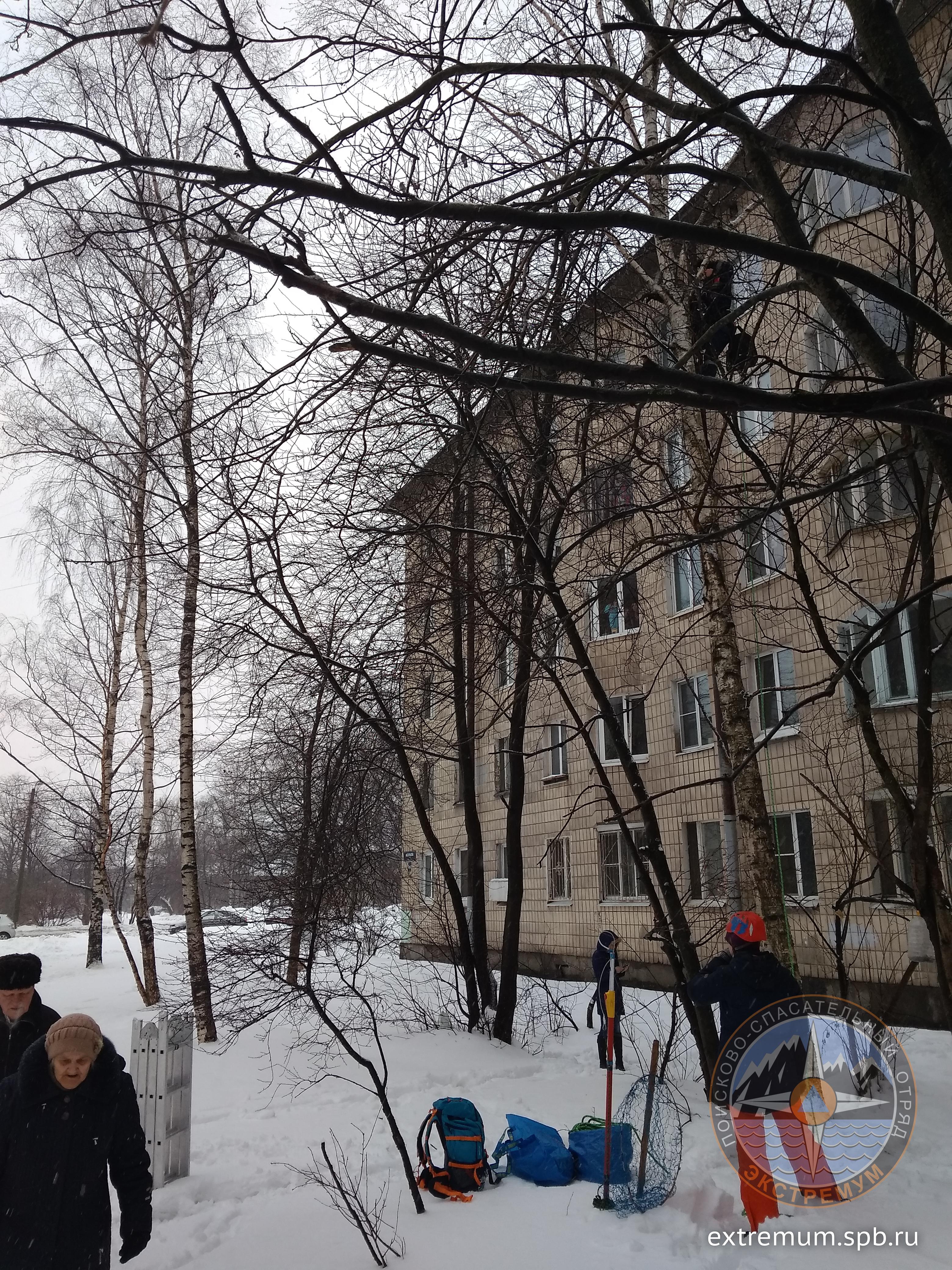 IMG_20190204_124552.jpg