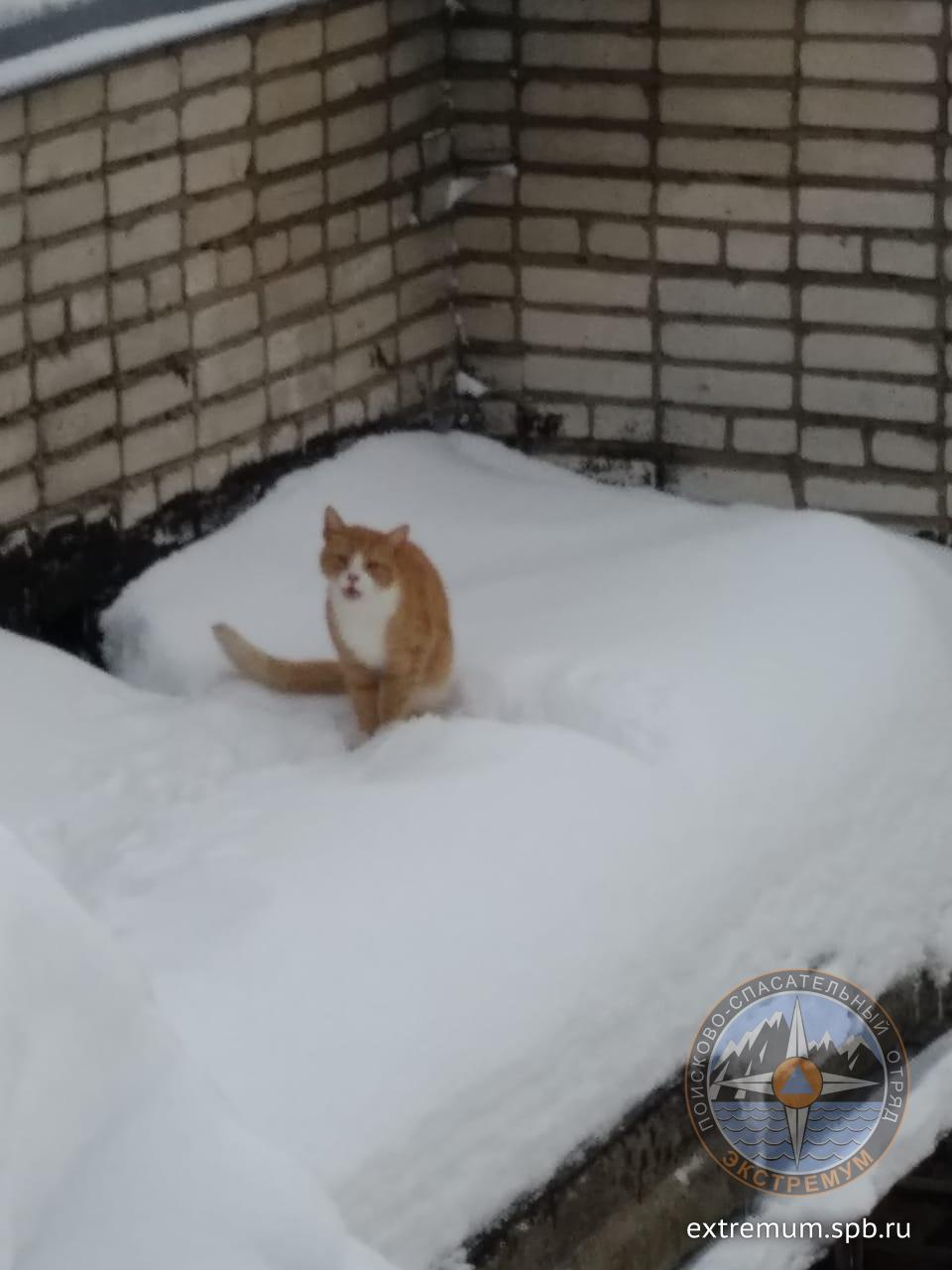 IMG-20190206-WA0002.jpg