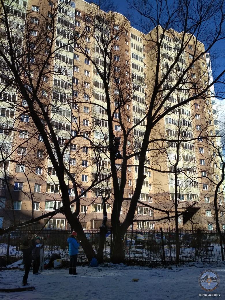 кот_1.jpg