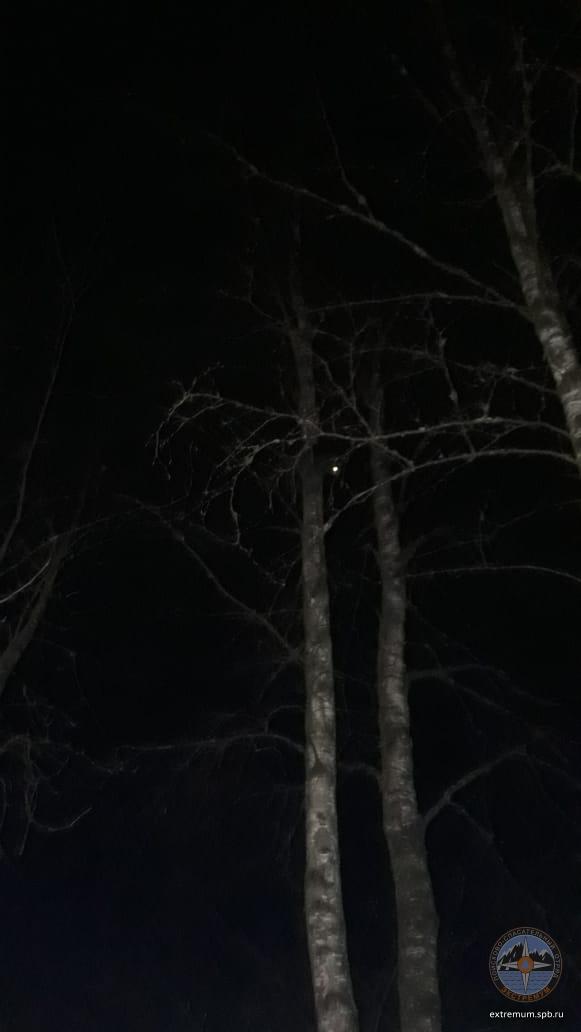 IMG-20190405-WA0007.jpg
