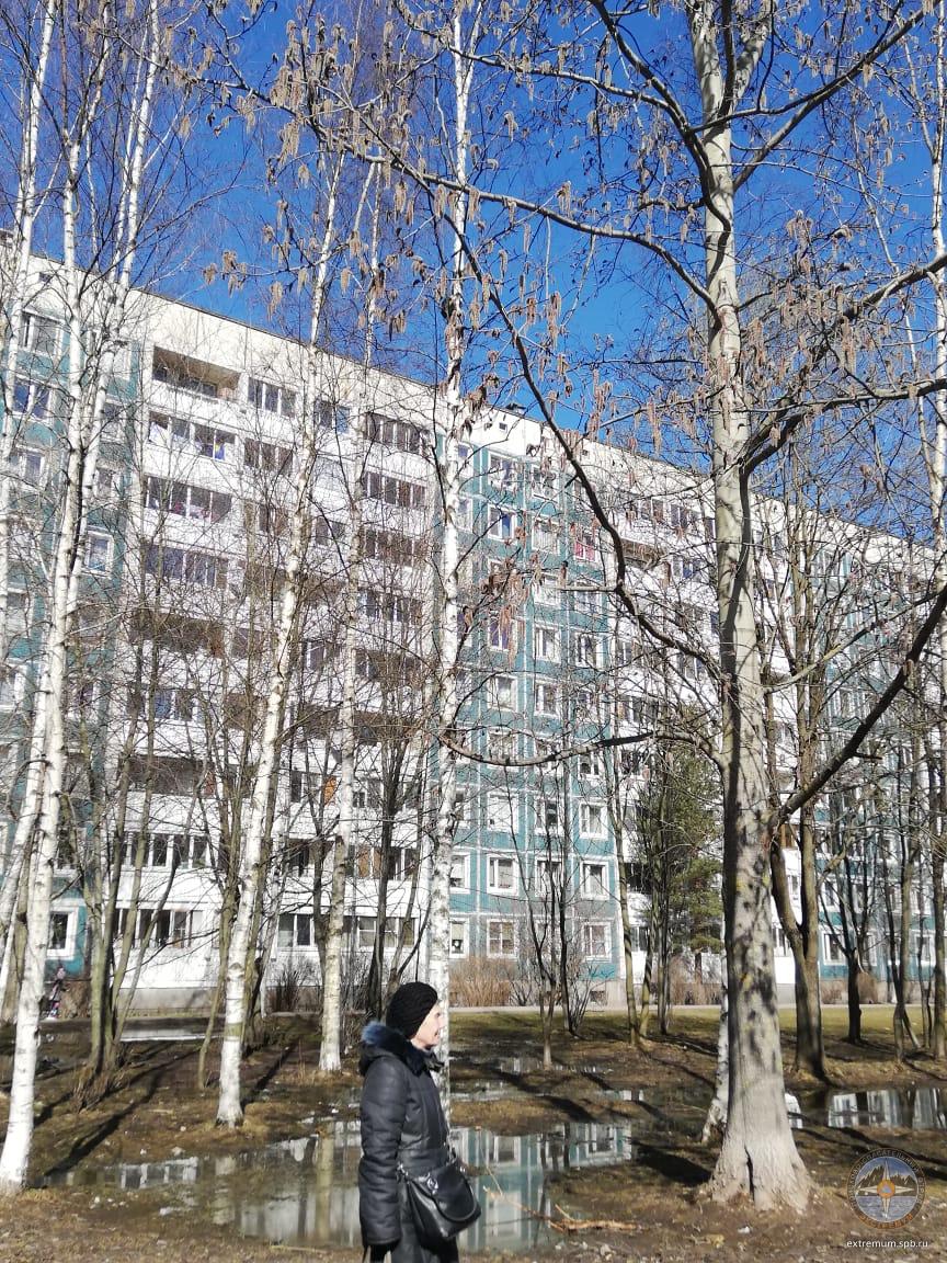 IMG-20190406-WA0000.jpg