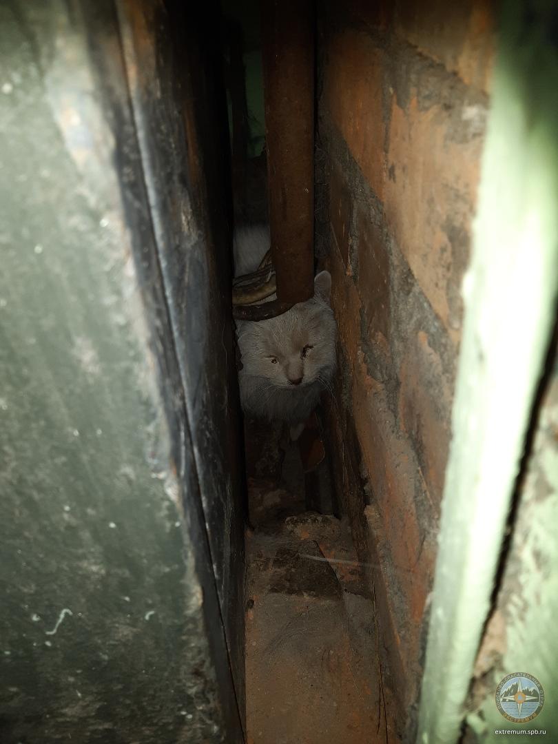 SAVE_20190407_095917.jpeg